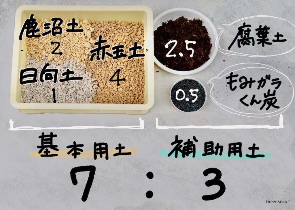 多肉植物 土 配合