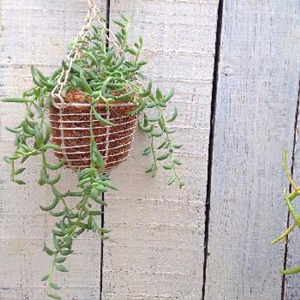 1453450073751_thum_1453450072798_thum_tmp