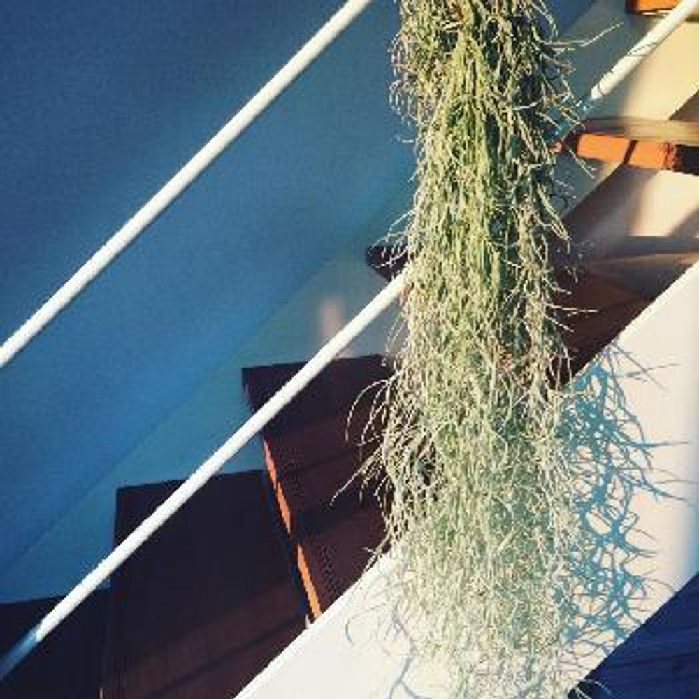 1446730184594_thum_1446730183175_thum_tmp