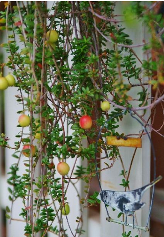 スクリーンショット 2016-02-14 20.26.49