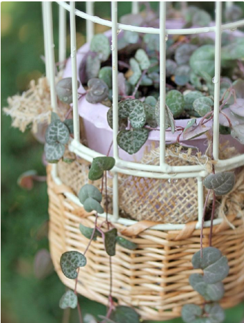 Photo by kh＊さん