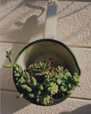 スクリーンショット 2016-03-17 22.14.51