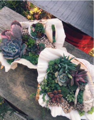 スクリーンショット 2016-03-17 22.33.01