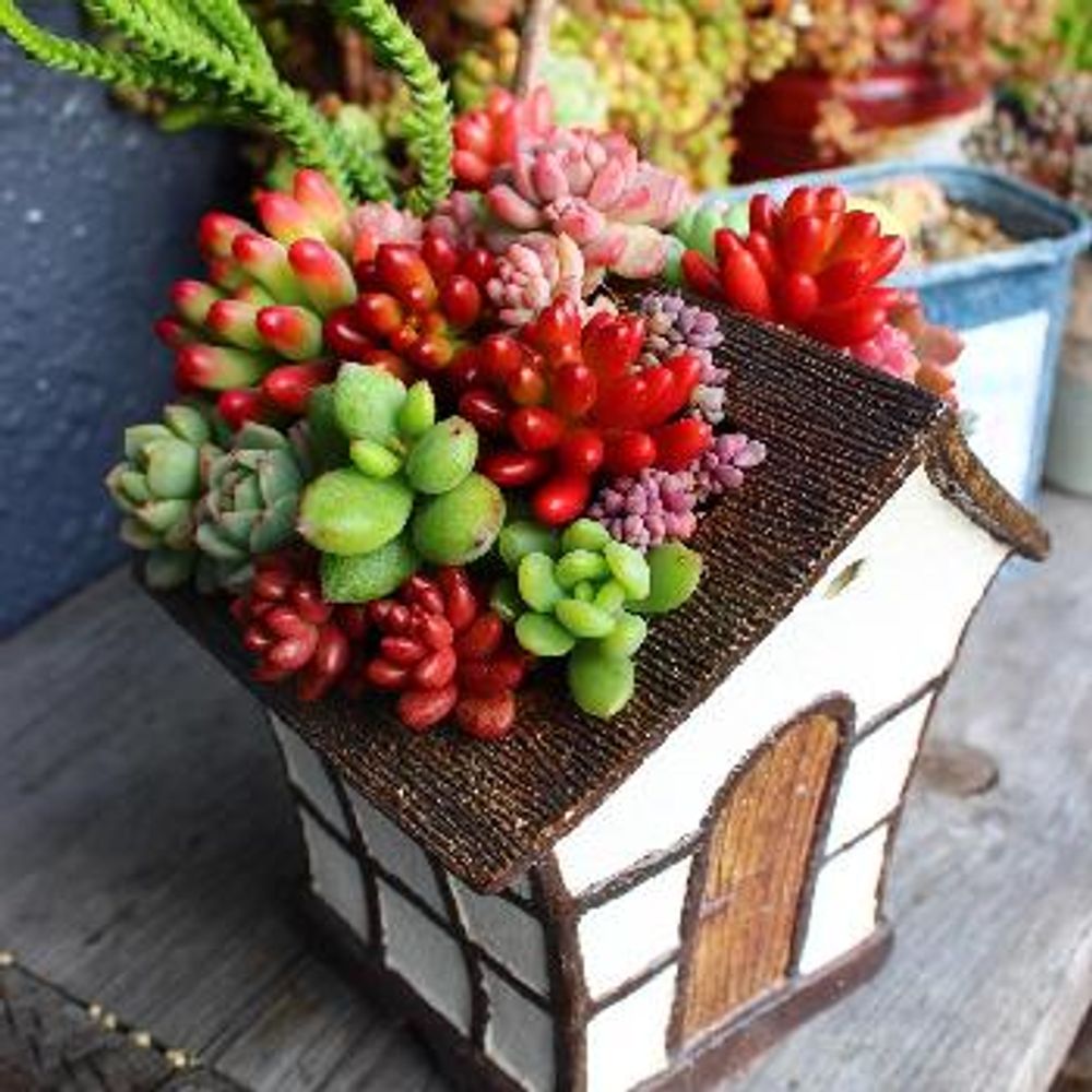 1456913197345_thum_1456913196349_thum_tmp