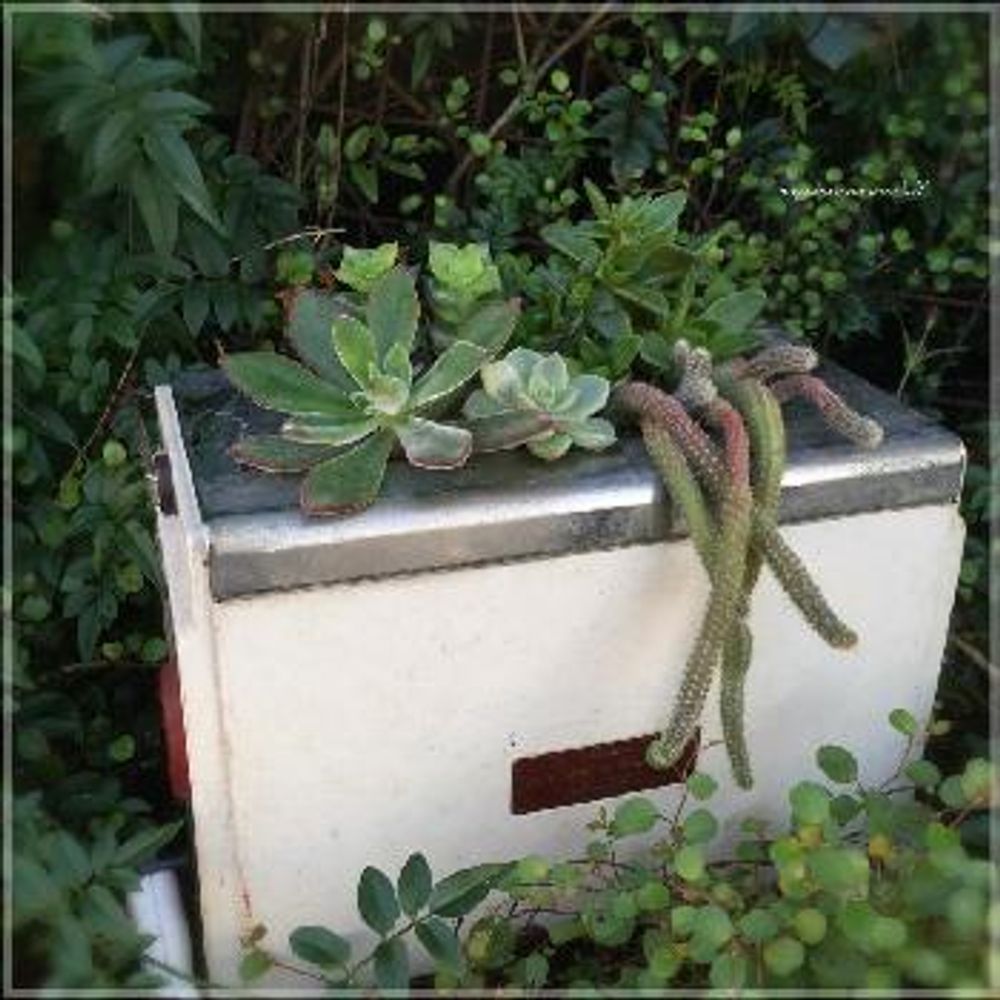 1448360190264_thum_1448360188972_thum_tmp