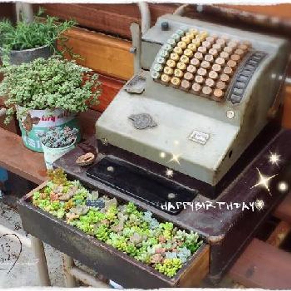 1440747811066_thum_1440747810103_thum_tmp