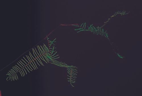 細かな葉で彩る爽やかグリーンの世界 Greensnap グリーンスナップ