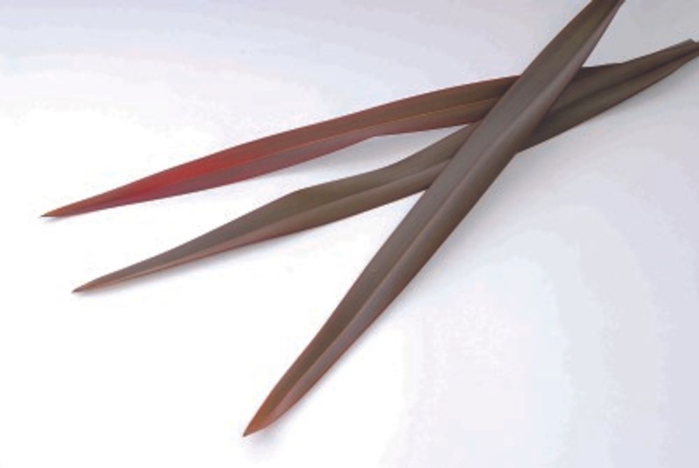 21 ニューサイラン_1