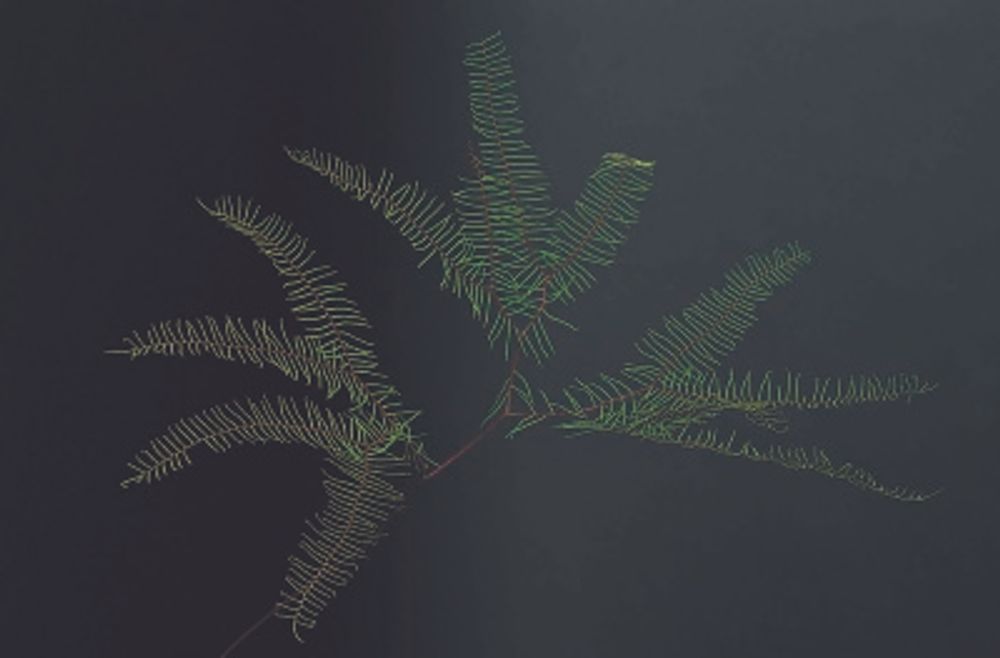 13 シースター_1