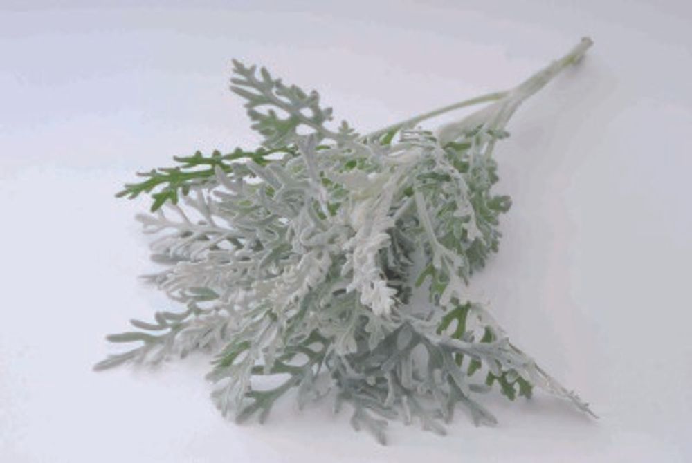 17 ダスティーミラー_1