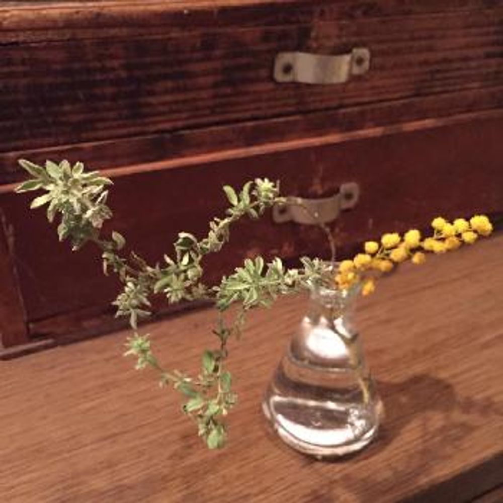 1456129990228_thum_1456129989260_thum_tmp