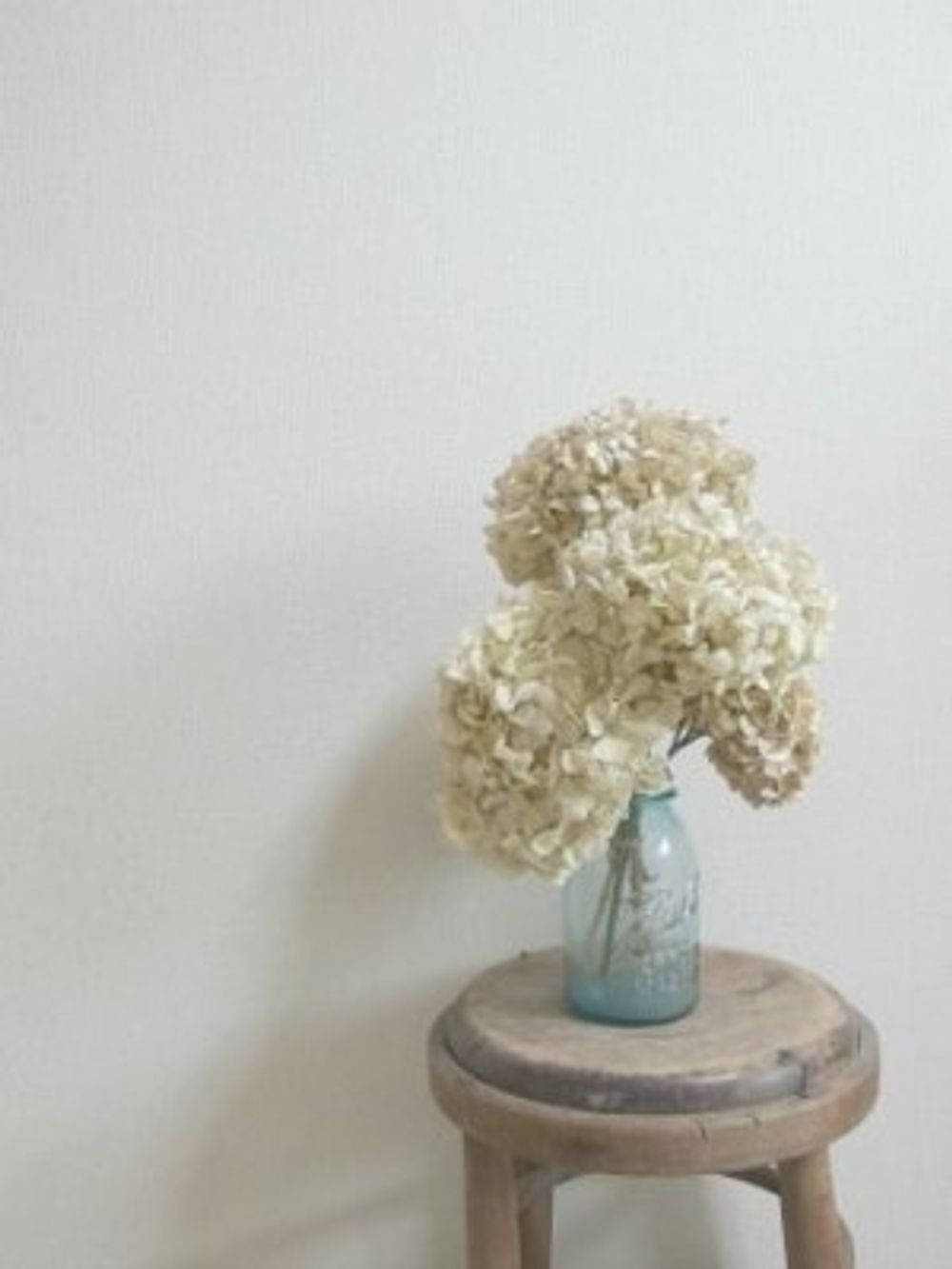 c6f49bd34901af9f3fdccb4c6e5e6e05