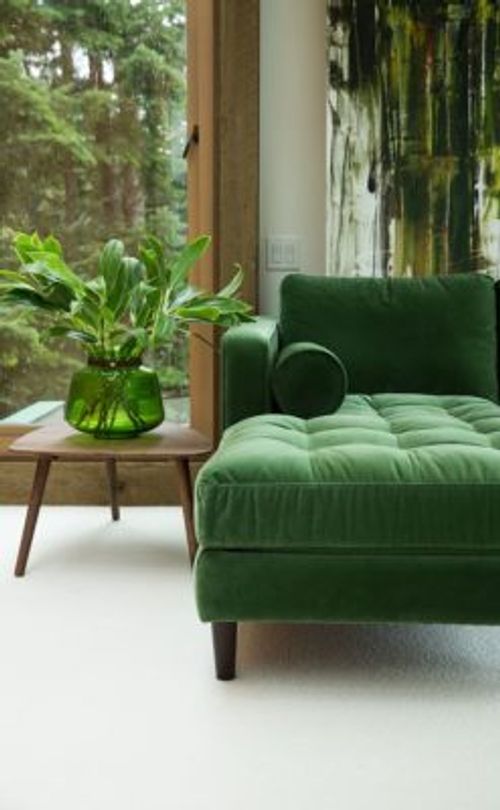 お部屋のジャングル化計画 してみませんか グリーンでいっぱいにするステキな実例集まとめ Greensnap グリーンスナップ お部屋のジャングル化計画 してみませんか グリーンでいっぱいにするステキな実例集まとめ Greensnap グリーンスナップ