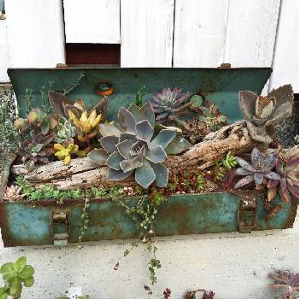 1465442817877_thum_1465442817321_thum_tmp