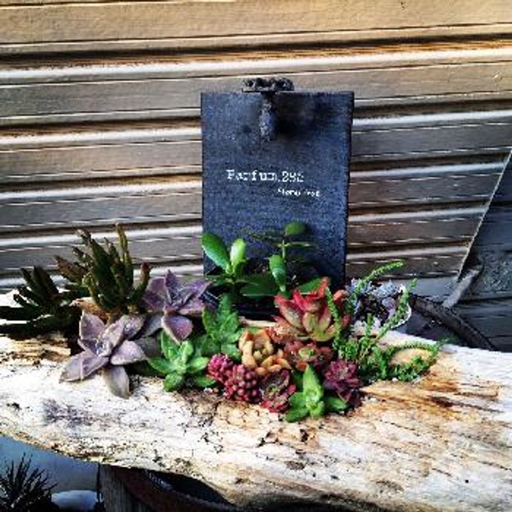 1461424358550_thum_1461424358032_thum_tmp