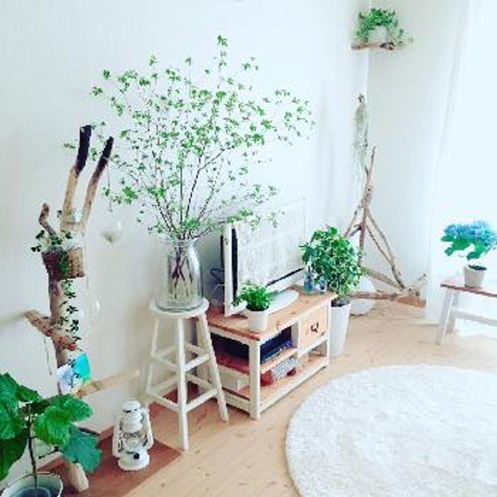 1466060877725_thum_1466060877261_thum_tmp