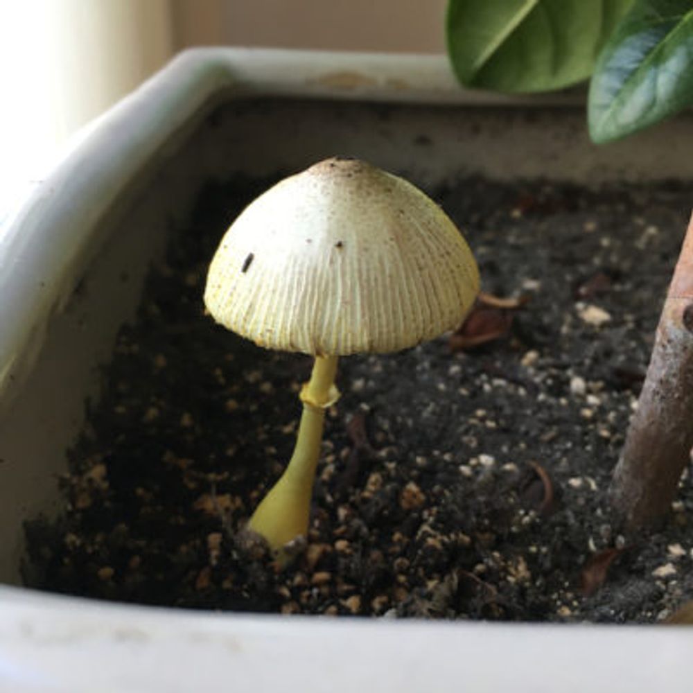 photo by 美月さん