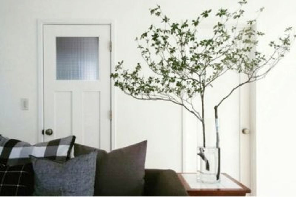 c019557daa5b034f04e4256ad2a34b54