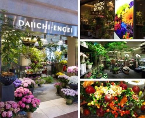 観葉植物をギフトで送る場合にはカタログもぜひ利用してみよう Greensnap グリーンスナップ