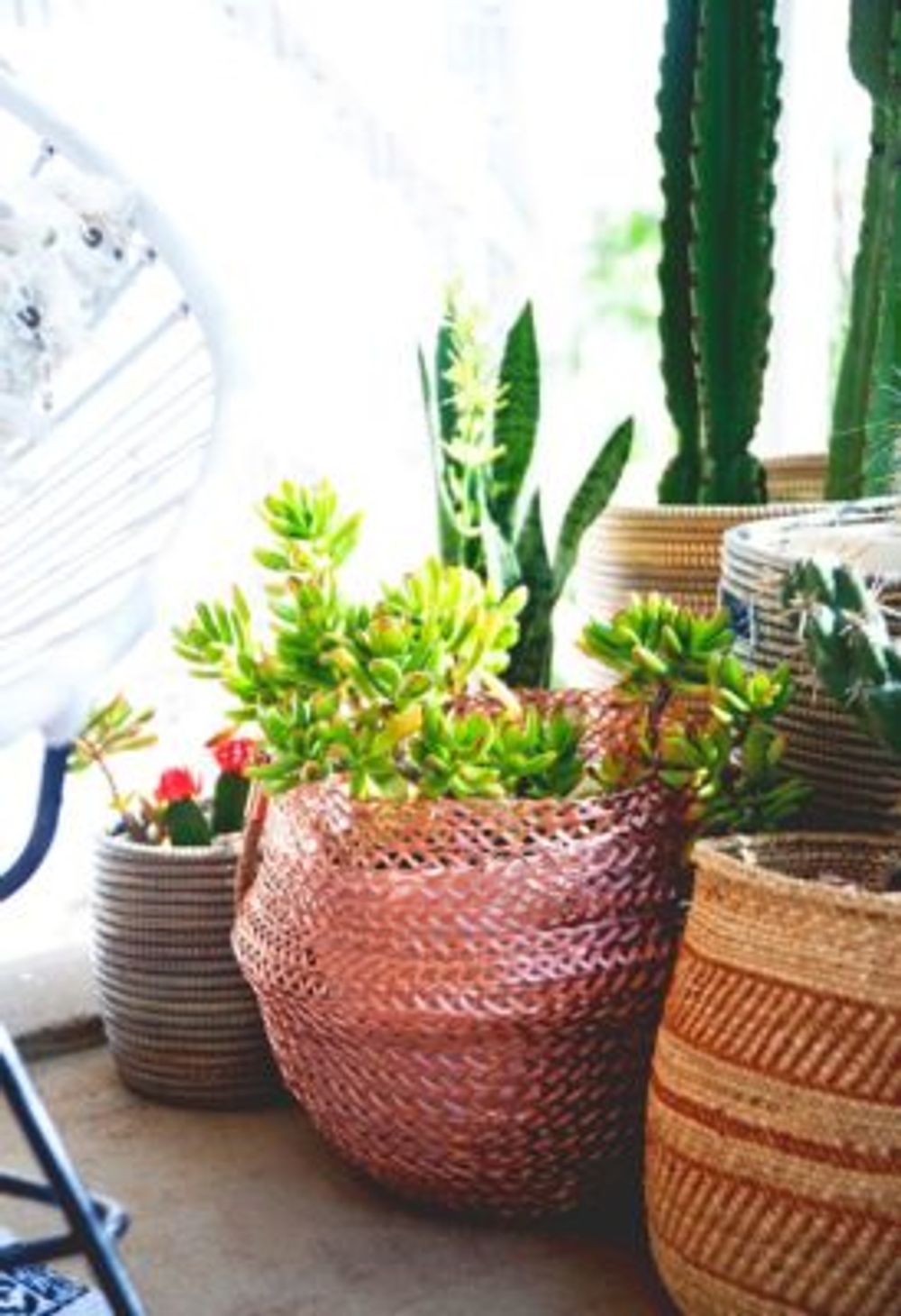 e25e0e0a8ad49773a2dd9516c036e426