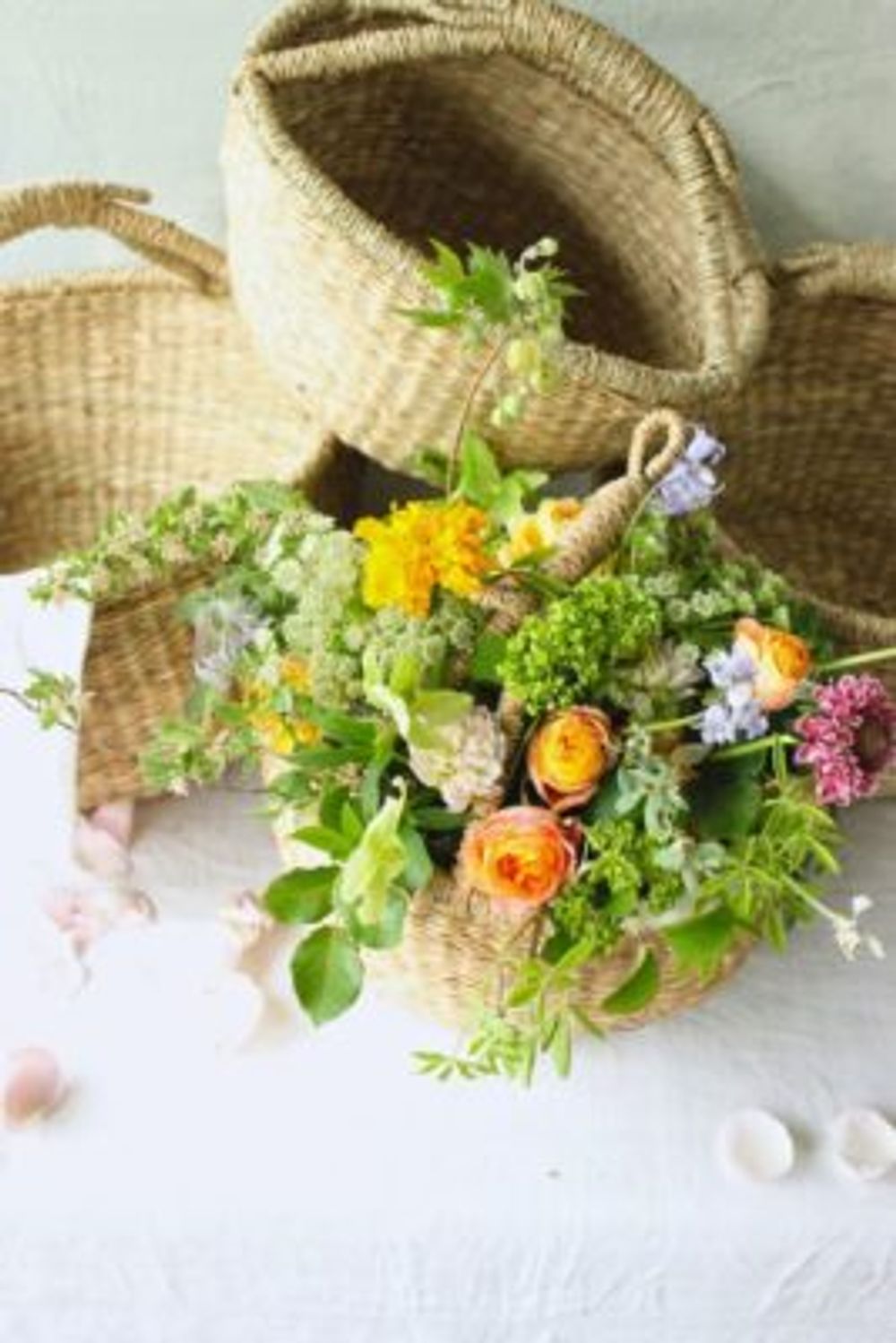 0d2bab63aeb82efb2a7ec8b8371d705f