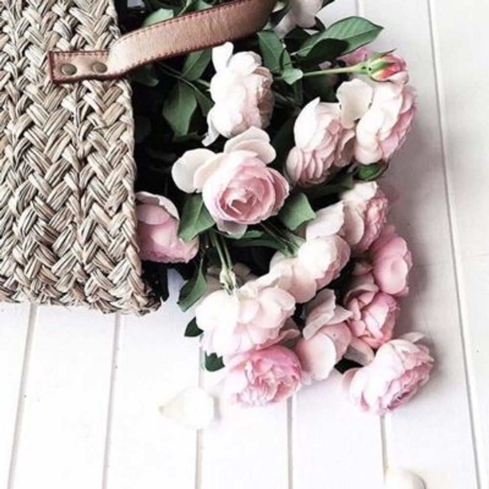 3f3b514ea5e5929ad82e5fda411466b3