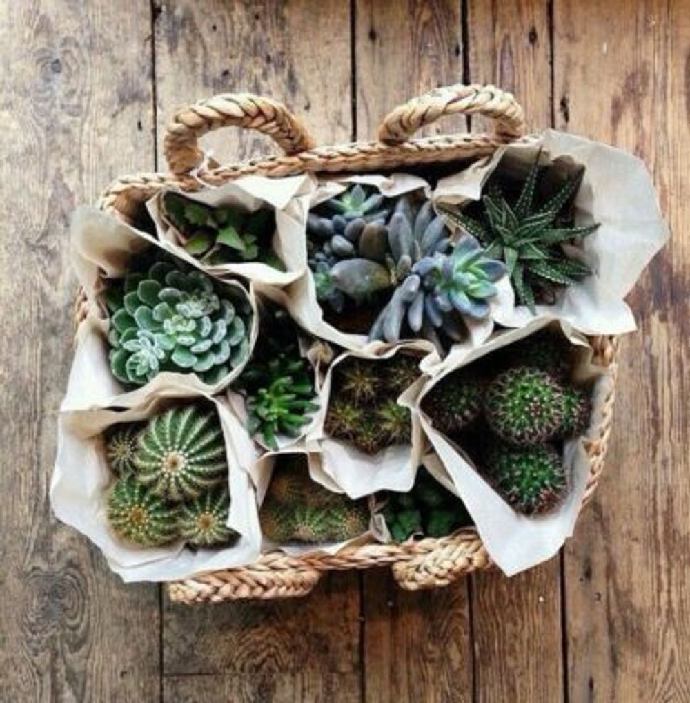 bebf36a253168fd99e261ee24cc1e682