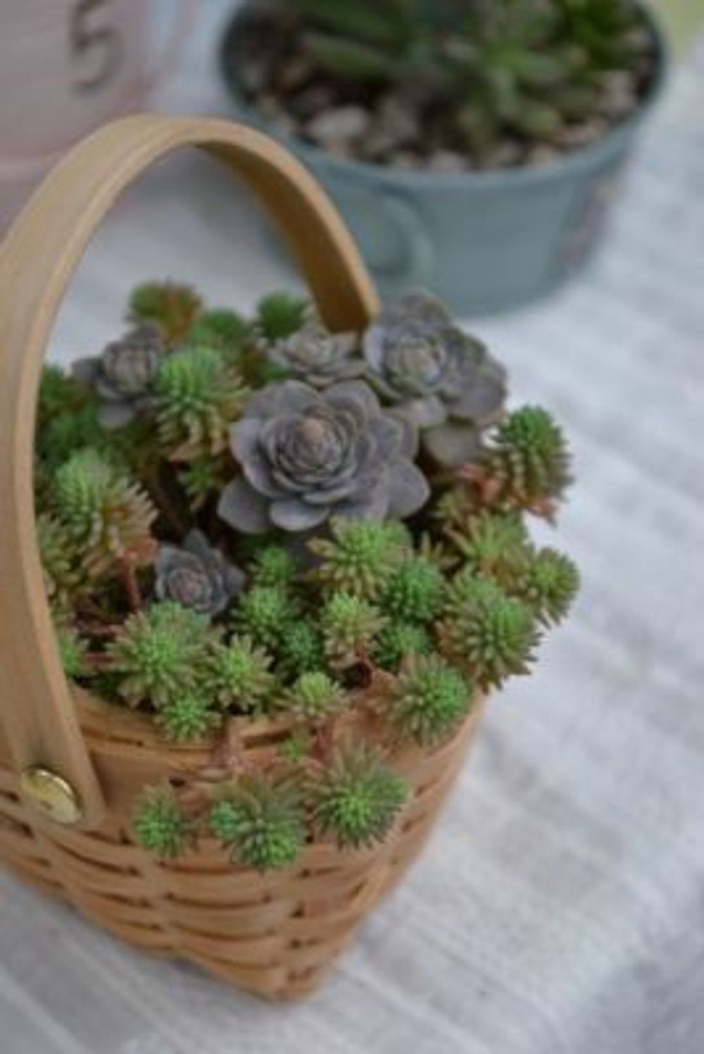 c7a41550f78061ebdc228c8e750cecb0