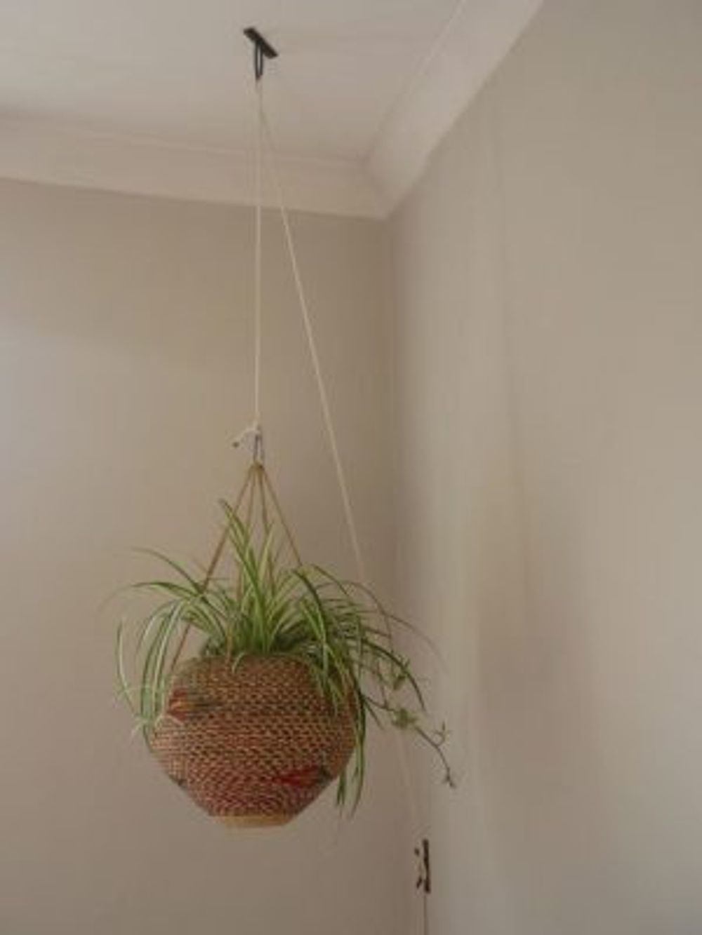 8054d23375e5a641b2cfdc3555b75d19