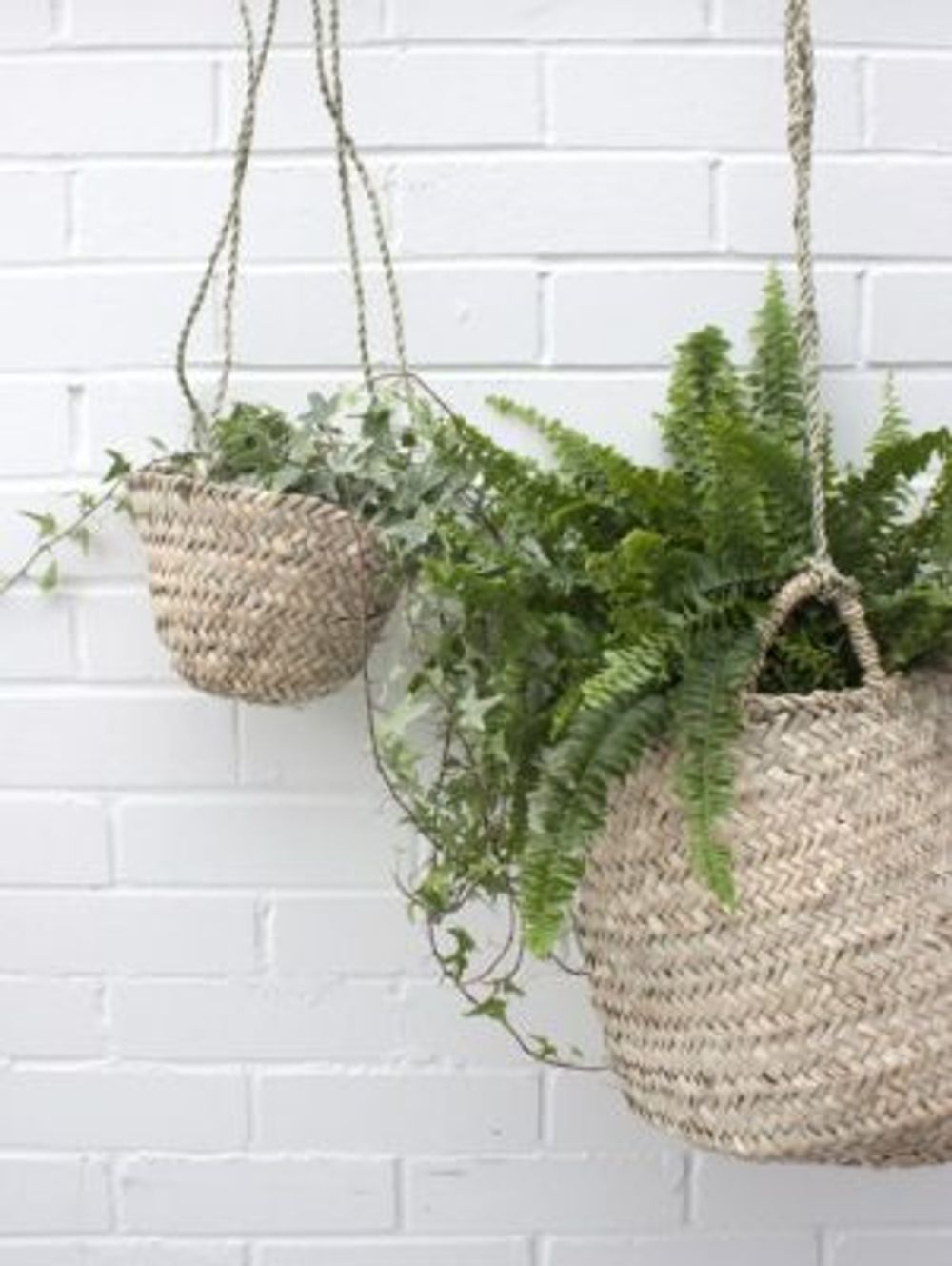 8aec94eaa82e92e1f1b1e95c401a9471-1