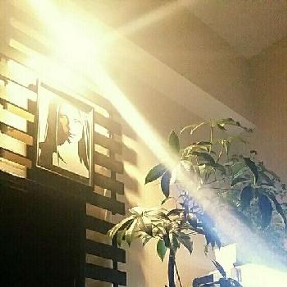 Photo by けいすけさん@GreenSnap