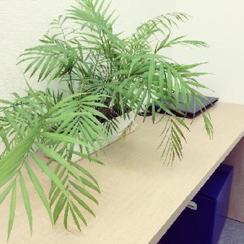 Photo by ekko.yさん@GreenSnap