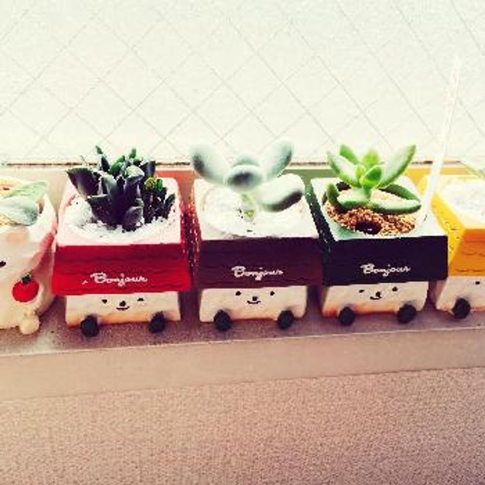 Photo by カピバラバラさん@GreenSnap