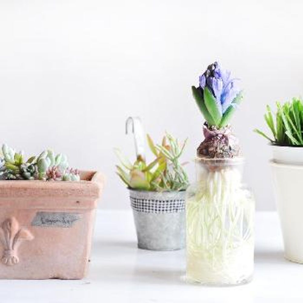 Photo by quoteさん@GreenSnap