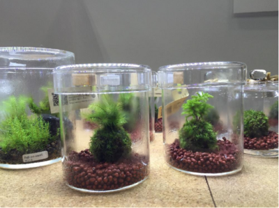 スクリーンショット 2016-08-19 6.24.01