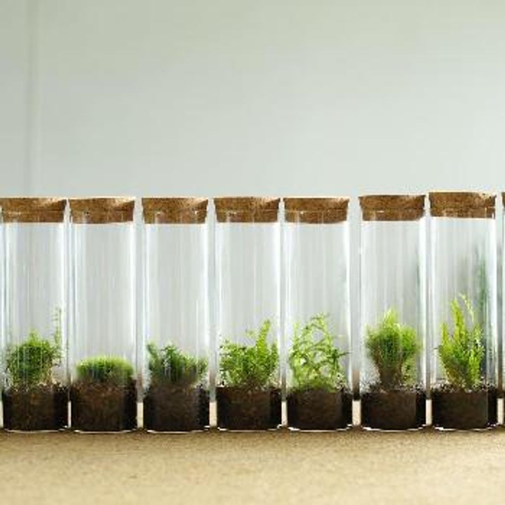 1471523415535_thum_1471523415173_thum_tmp