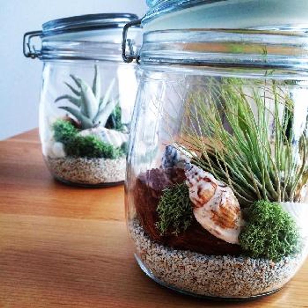 1467636004123_thum_1467636003215_thum_tmp