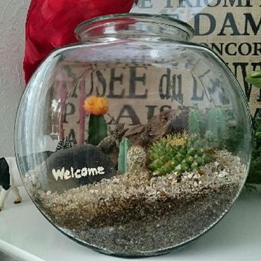 1471515963661_thum_1471515963260_thum_sample