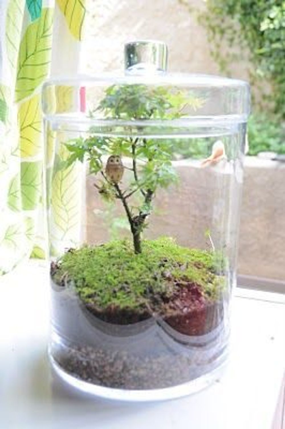 0bedac95bf8da90c8800524a8a592f55