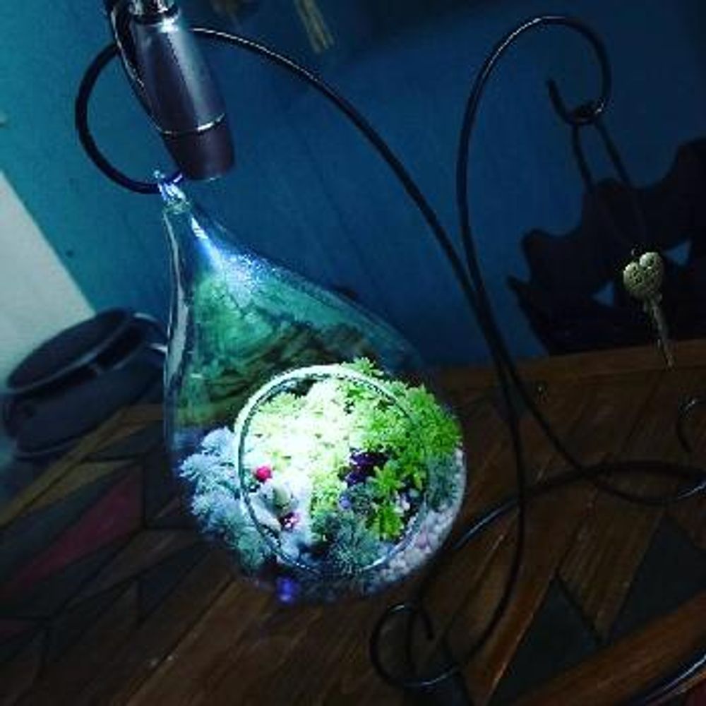 1466080511214_thum_1466080510642_thum_tmp