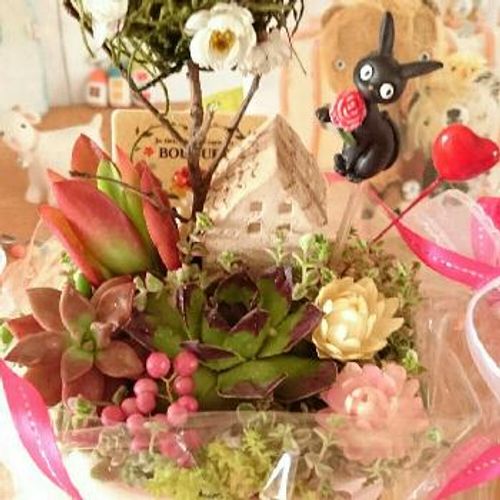 観葉植物をギフトで送る場合にはカタログもぜひ利用してみよう Greensnap グリーンスナップ