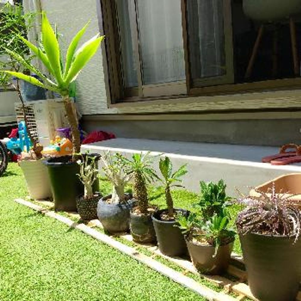 Photo by sig0320さん@GreenSnap