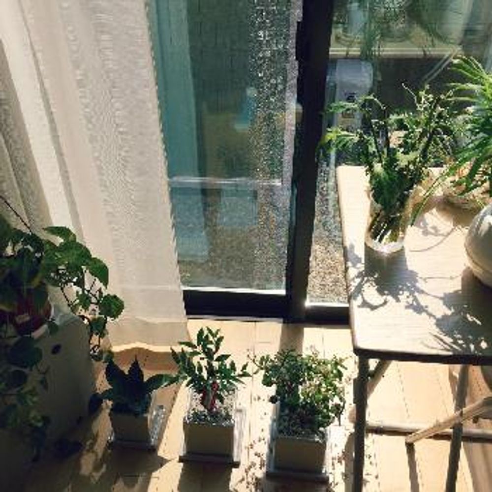 Photo by らぴすさん@GreenSnap