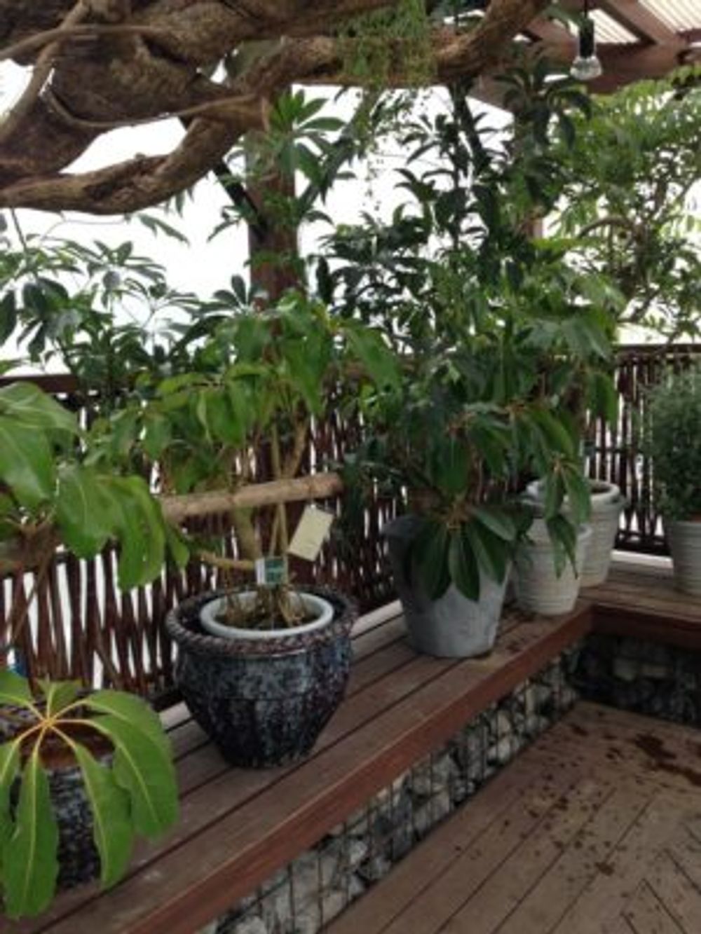 出典元：Pinterest