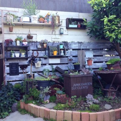 外にも飾る観葉植物 ガーデニングを楽しもう Greensnap グリーンスナップ