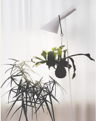 スクリーンショット 2016-09-25 8.41.06