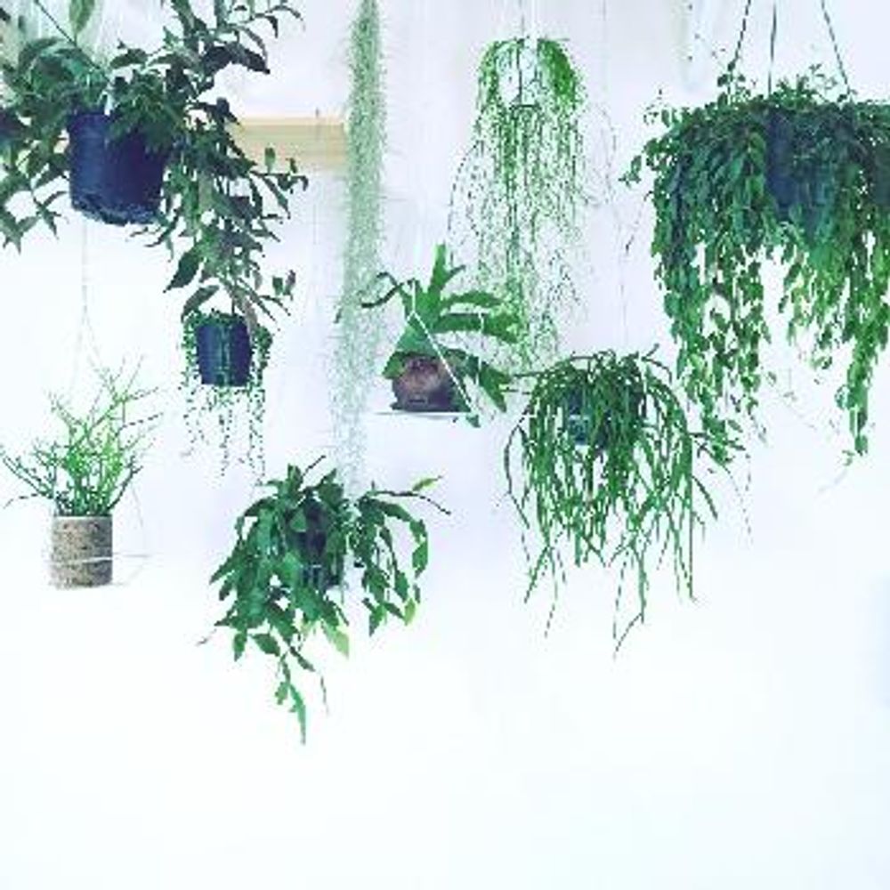 1466603293453_thum_1466603292842_thum_tmp