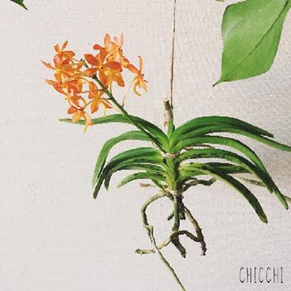 1468655342755_thum_1468655342199_thum_tmp