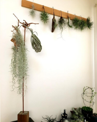 スクリーンショット 2016-09-25 14.43.39