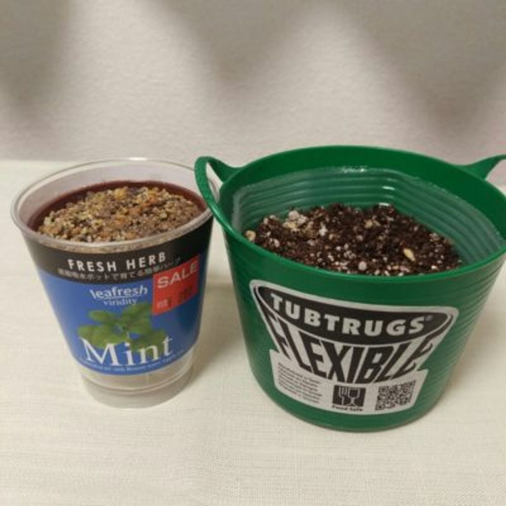 Photo by ゆたおさん@GreenSnap